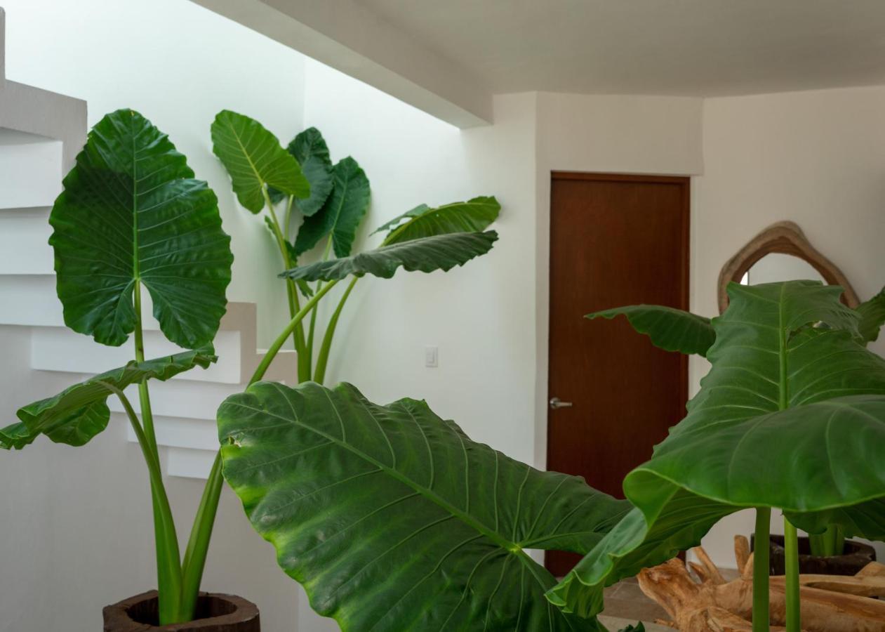 칸쿤 Recamara 5 Tulum 아파트 외부 사진