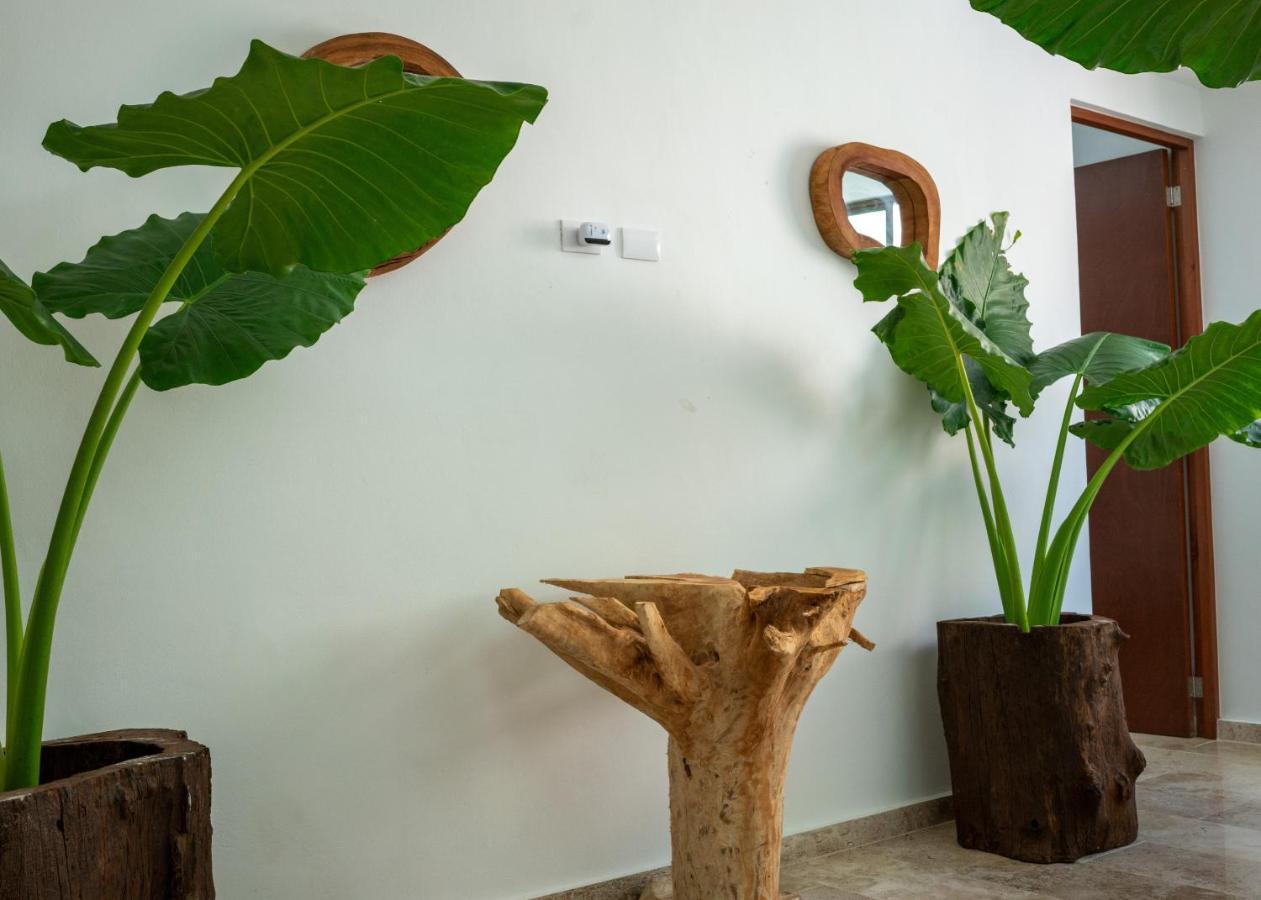 칸쿤 Recamara 5 Tulum 아파트 외부 사진